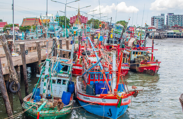 fishing boats at a Pier in Thailand Picture Board by Wilfried Strang