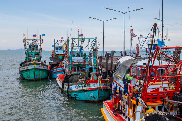 fishing boats at a Pier in Thailand Picture Board by Wilfried Strang