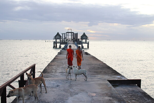 Thai monks on the bridge or Pier , which leads to the never finished and abandoned Thai temple right on the Gulf in Thailand in the province of Chonburi Picture Board by Wilfried Strang