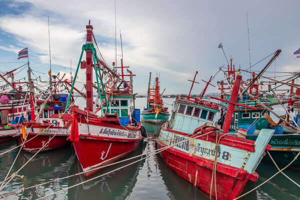 fishing boats at a Pier in Thailand Southeast Asia Picture Board by Wilfried Strang