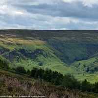 Buy canvas prints of Great Fryup Dale Head by BARBARA RAW