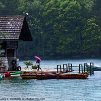 Buy canvas prints of Scenery of Lake Bohinj on a rainy day, Slovenia. by Maggie Bajada