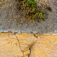 Buy canvas prints of Artistic Rock of Limestone and Earth. by Maggie Bajada