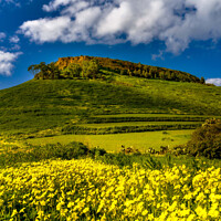 Buy canvas prints of The Green and Yellow Hill of il-Gelmus of Gozo. by Maggie Bajada