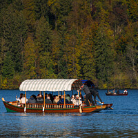 Buy canvas prints of Pletna Boat with Autumn Trees background in Lake Bled.  by Maggie Bajada