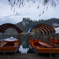 Buy canvas prints of Colored Pletna Boats on Lake Bled, Slovenia. by Maggie Bajada