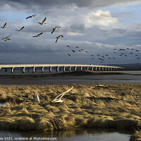 Buy canvas prints of The Long Bridge by Tim Shaw
