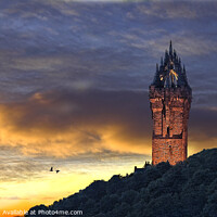 Buy canvas prints of Wallace Monument Stirling by Tim Shaw