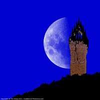 Buy canvas prints of Wallace Monument Abstract by Tim Shaw