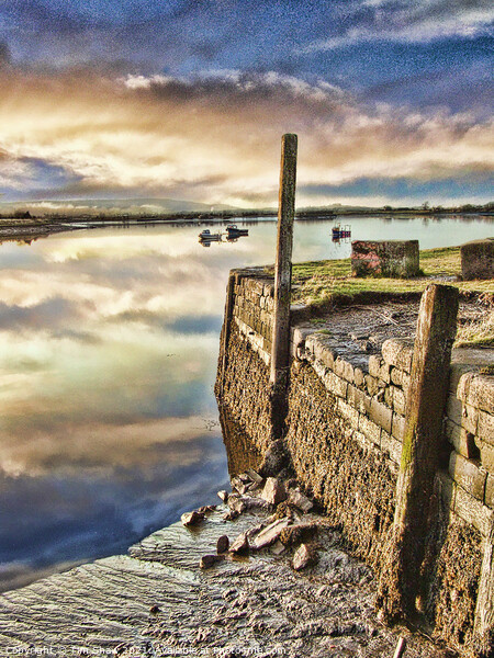 Alloa Old Harbour wall Picture Board by Tim Shaw