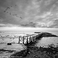 Buy canvas prints of Culross Pier in Black & White by Tim Shaw