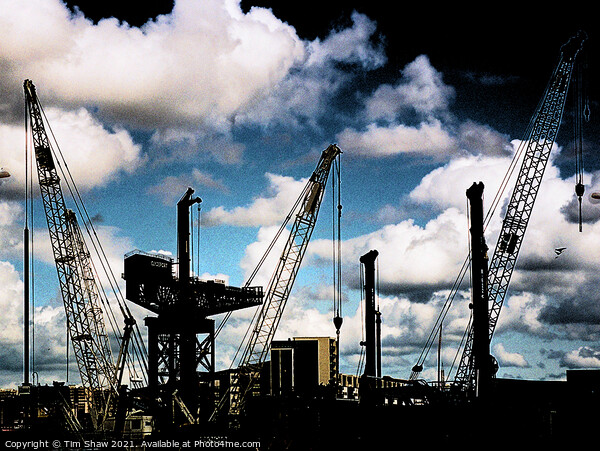 Cranes on the Clyde Picture Board by Tim Shaw