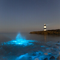 Buy canvas prints of Bioluminescent Plankton at Penmon, Wales by Gerwyn Roberts