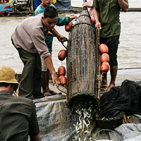 Buy canvas prints of Fishing for Riel, Cambodia by Ian Miller