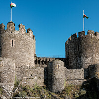 Buy canvas prints of Conway Castle by Ian Miller