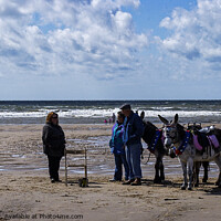 Buy canvas prints of Donkeys on the Beach by Ian Miller