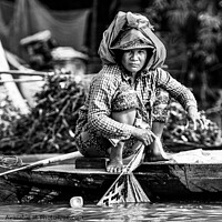 Buy canvas prints of Woman Fishing in Vietnam by Ian Miller