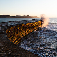 Buy canvas prints of Lyme Regis Harbour Wall, The Cobb by Alan Jackson
