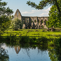 Buy canvas prints of Remains of Newark Priory  by Alan Jackson