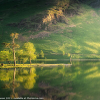 Buy canvas prints of Buttermere Pines by Brett Gasser