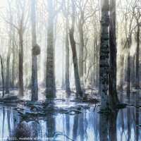 Buy canvas prints of New Forest Trees by Brett Gasser
