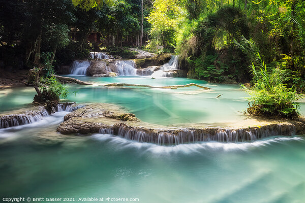 Kuang Si Falls Laos  Picture Board by Brett Gasser