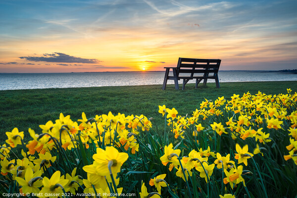 Lee-on-the-Solent Spring Collection Picture Board by Brett Gasser