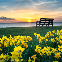 Buy canvas prints of Lee-on-the-Solent Spring Collection by Brett Gasser