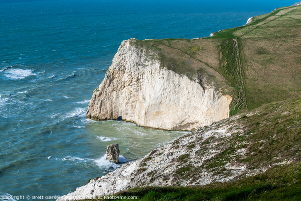 Bat's Head - Dorset Coast Picture Board by Brett Gasser