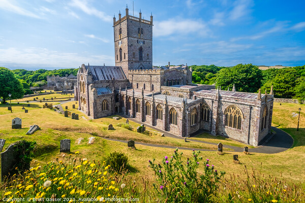 St Davids Cathedral  Picture Board by Brett Gasser