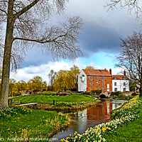 Buy canvas prints of Bintree Mill Norfolk by GJS Photography Artist
