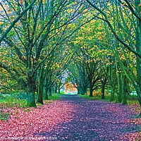 Buy canvas prints of Queen Mothers Avenue Dereham by GJS Photography Artist