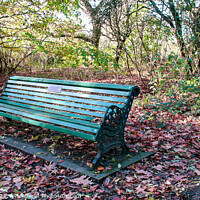 Buy canvas prints of Bench in the Rotary Wood by GJS Photography Artist
