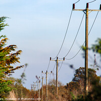 Buy canvas prints of Power Lines Neatly In Order by GJS Photography Artist