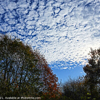 Buy canvas prints of Mackerel Sky In Autumn by GJS Photography Artist