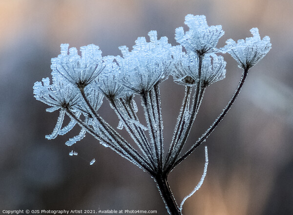 Pretty Frost Picture Board by GJS Photography Artist