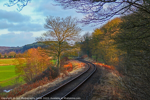 Vibrant Trainlines Picture Board by GJS Photography Artist