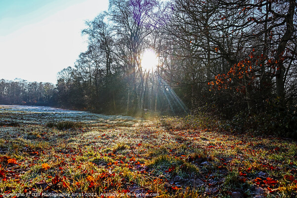Frosty Start Picture Board by GJS Photography Artist
