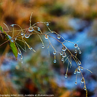 Buy canvas prints of Big water droplets  by GJS Photography Artist