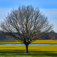 Buy canvas prints of A Lonely Tree by GJS Photography Artist