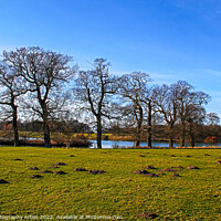 Buy canvas prints of Trees and Moles By The Lake by GJS Photography Artist