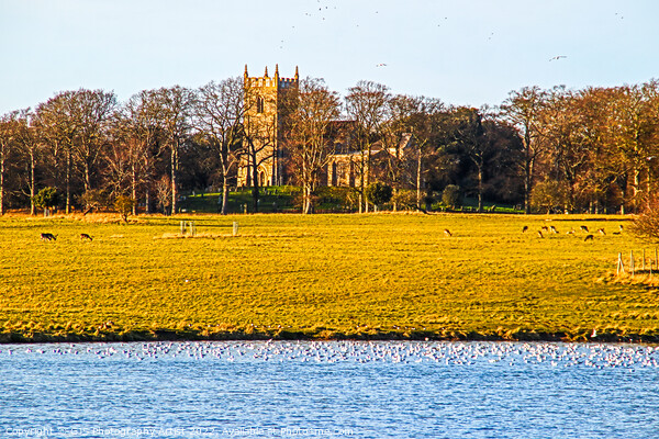 St Withburga's Church and Holkham Lake Picture Board by GJS Photography Artist
