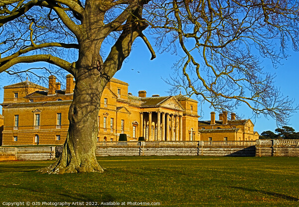 Holkham Hall and the Tree Picture Board by GJS Photography Artist