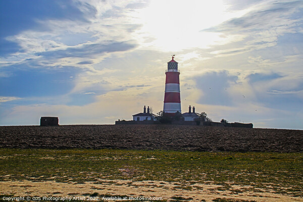Lighthouse Pillbox and Seagulls Picture Board by GJS Photography Artist