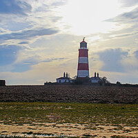 Buy canvas prints of Lighthouse Pillbox and Seagulls by GJS Photography Artist