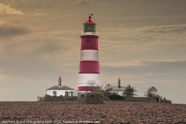 Lighthouse and WW2 Pillbox Picture Board by GJS Photography Artist