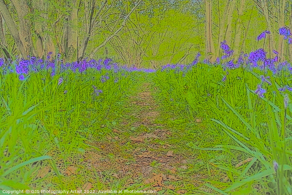 Bluebell Opening Pathway Picture Board by GJS Photography Artist