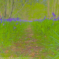 Buy canvas prints of Bluebell Opening Pathway by GJS Photography Artist