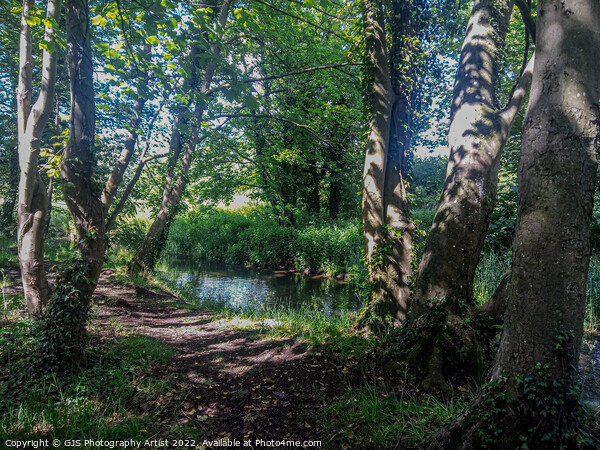 Into the Wensum Picture Board by GJS Photography Artist