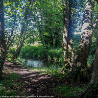 Buy canvas prints of Into the Wensum by GJS Photography Artist